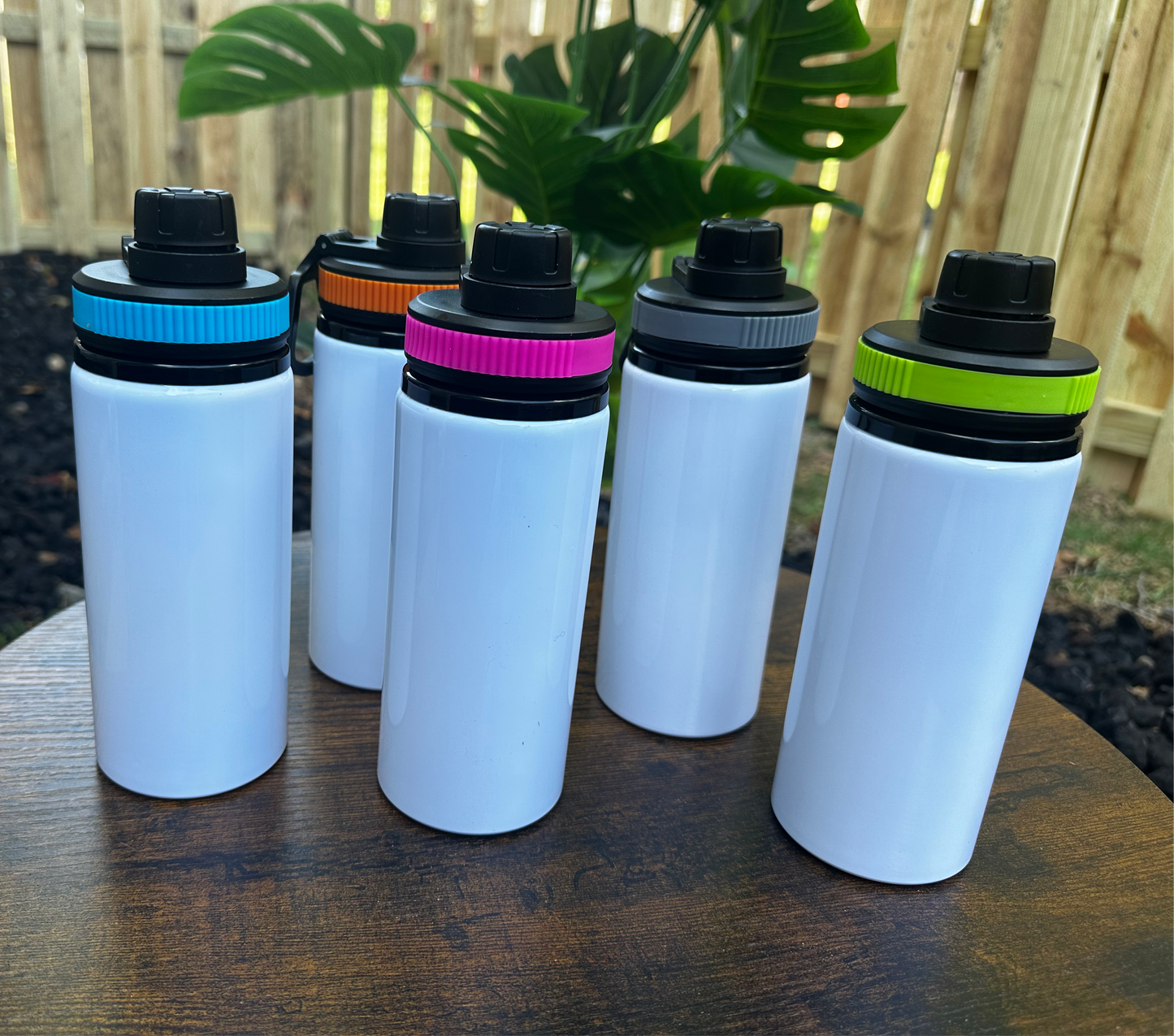 Water Bottles - 20oz