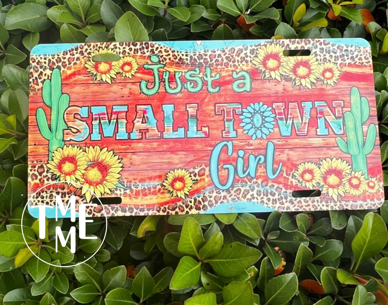 License Plate
