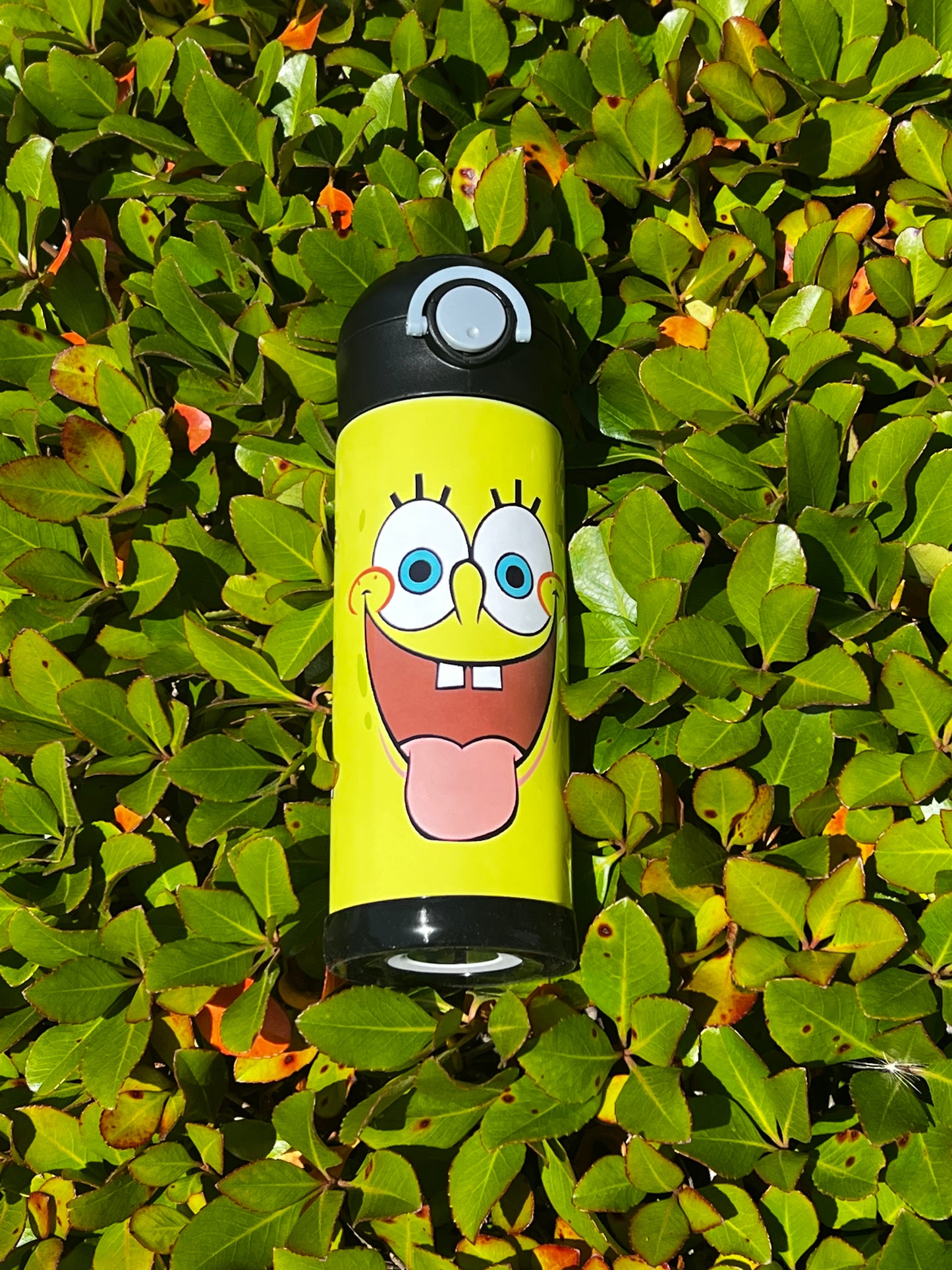 Kids Water Bottle