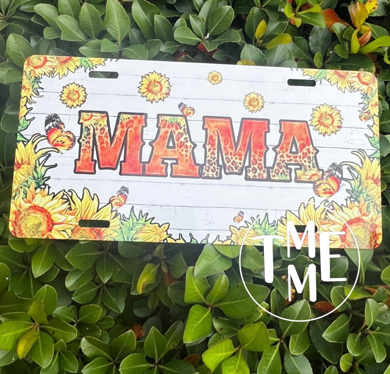 License Plate