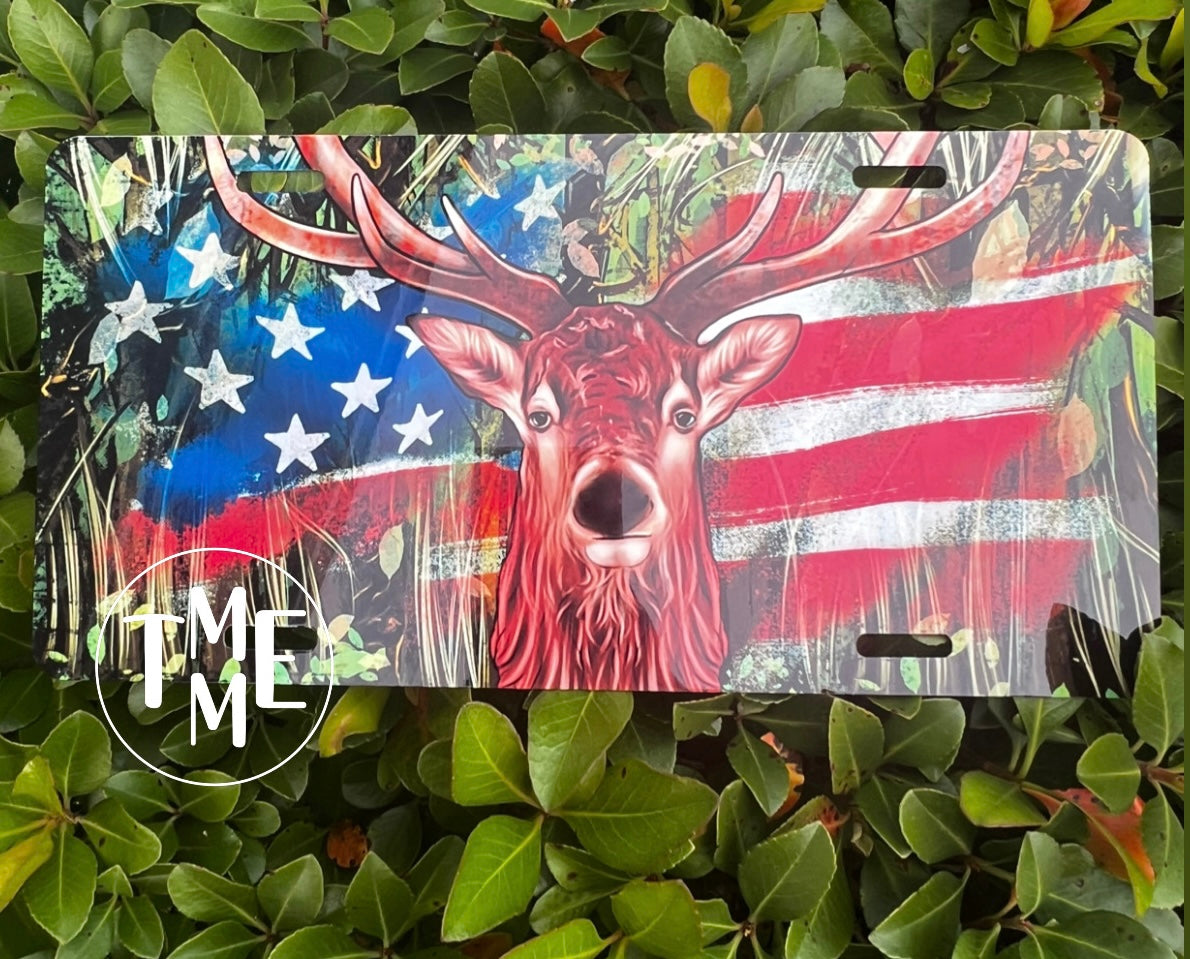 License Plate