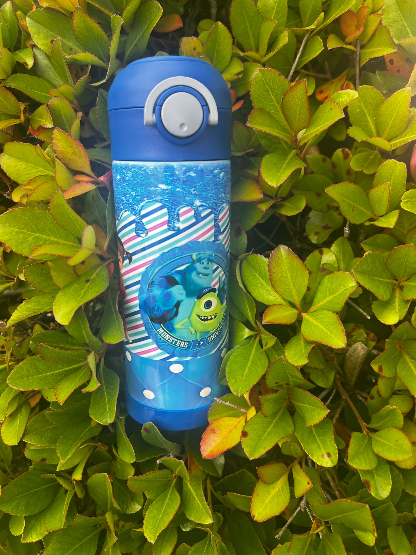 Kids Water Bottle