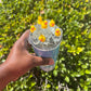 Duck Tumbler