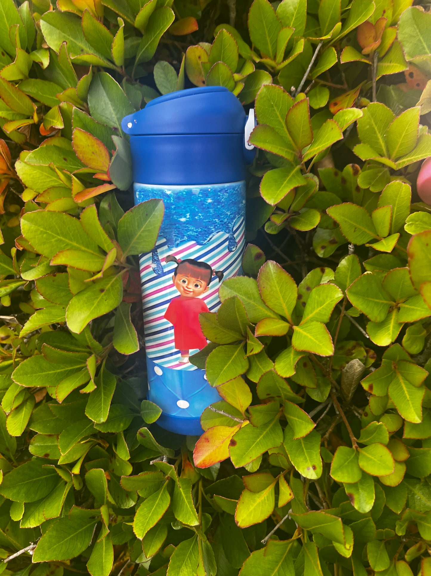 Kids Water Bottle