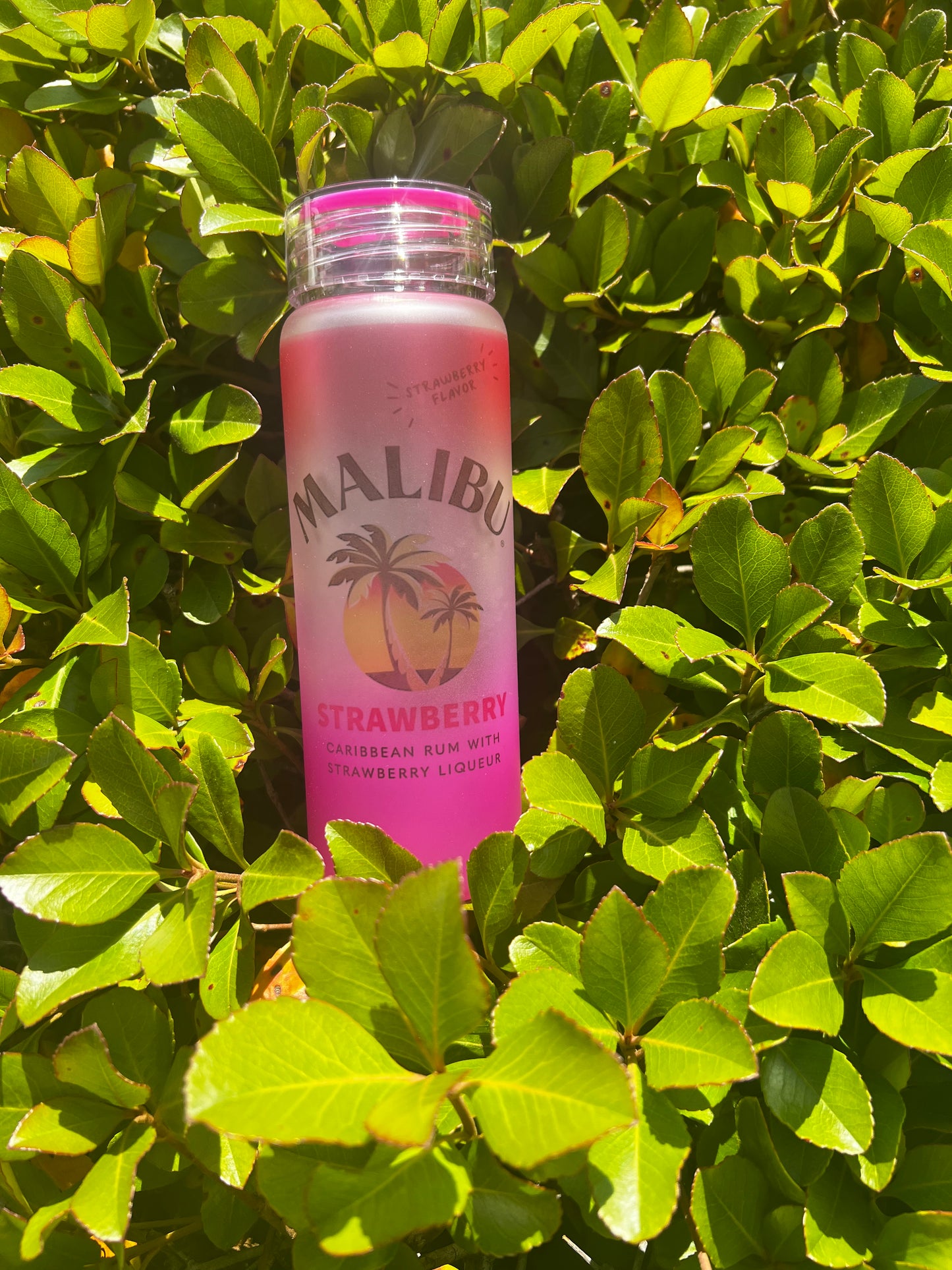 Mailbu Inspired Tumbler